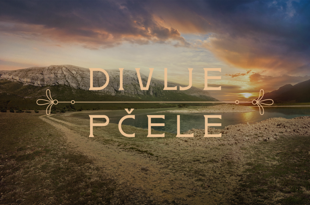 DivljaPcele_vizual_logo
